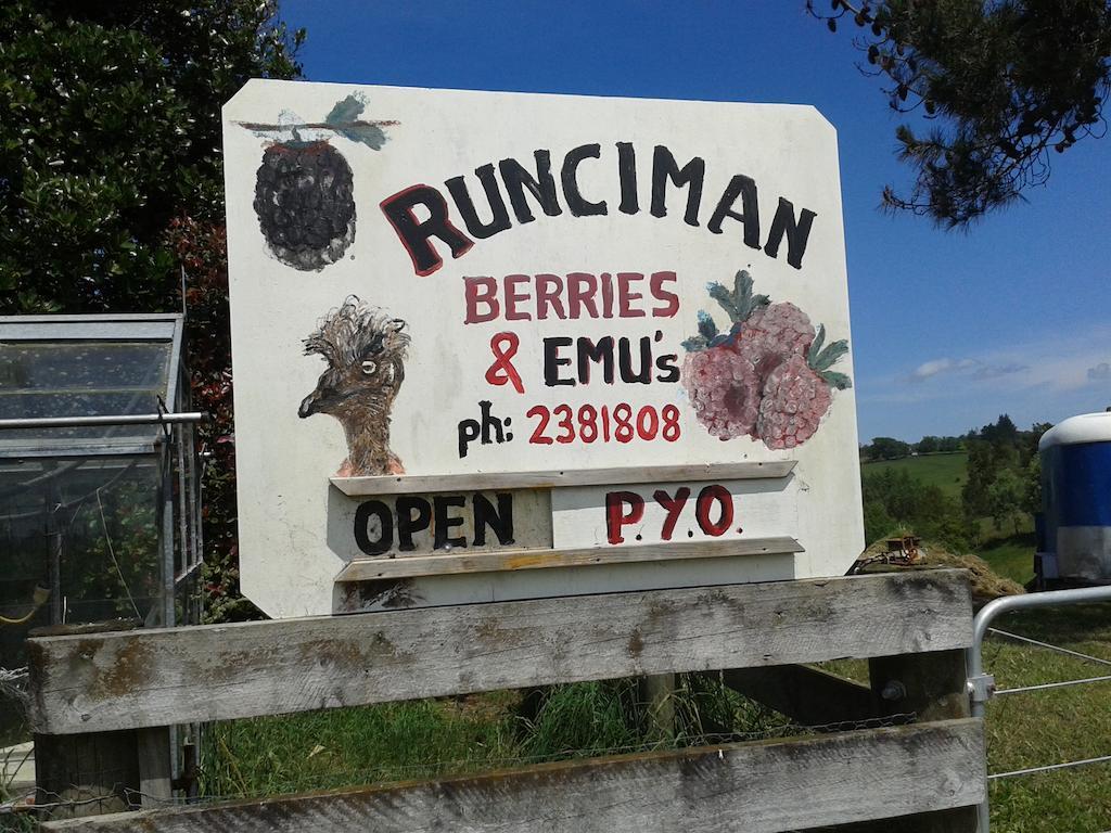 Runciman Berries And Emus B&B Ramarama Zewnętrze zdjęcie